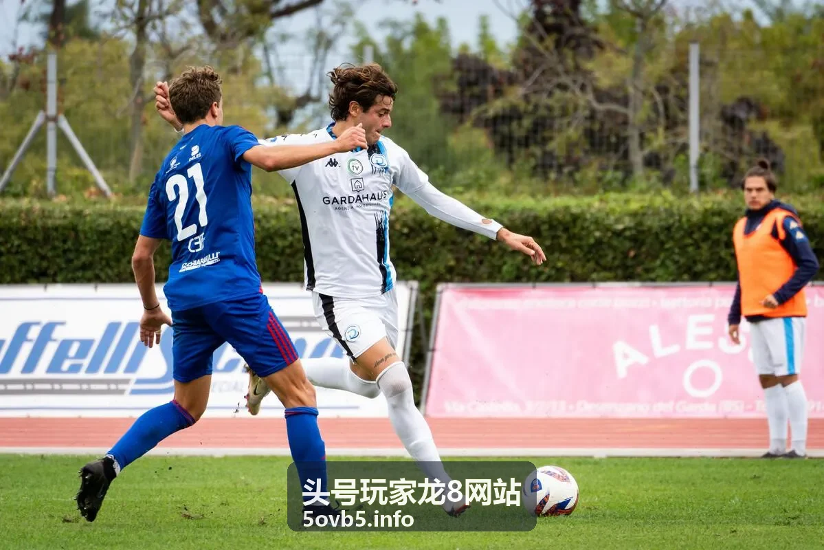 头号玩家龙8网站活动规则说明图解